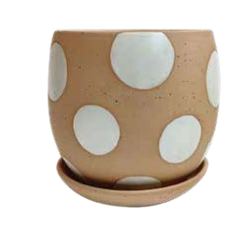 AGATHA SERIES PLANTER